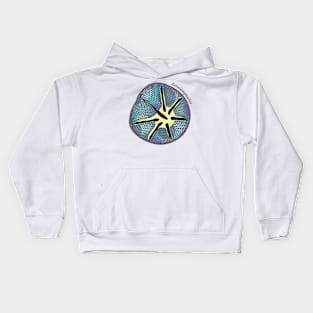 Diatom - Asteromphalus (scientific, color) Kids Hoodie